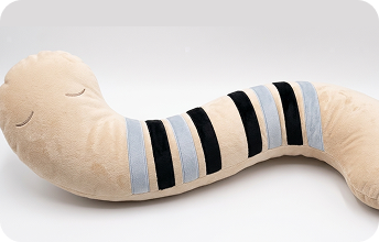 画像：ねむねこしっぽ